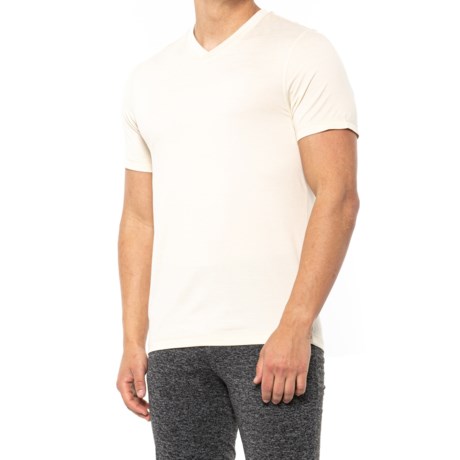 Gaiam Everyday Basic V-Neck T-Shirt - Short Sleeve (For Men) - EGRET HEATHER (XL )