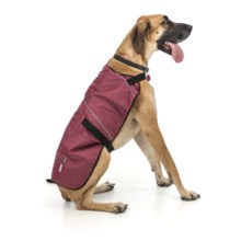 Ezydog Field Coat - 2XL in Burgundy - Closeouts