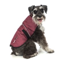 Ezydog Field Coat - Small in Burgundy - Closeouts