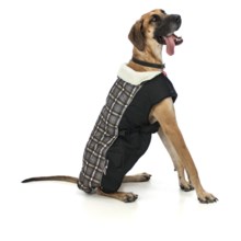Ezydog Mission Coat - 2XL in Gideon - Closeouts