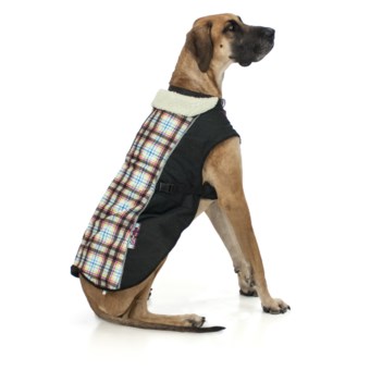 Ezydog Mission Coat - 2XL in Tartania