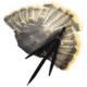 Flambeau Fantail Turkey Decoy - Jakester
