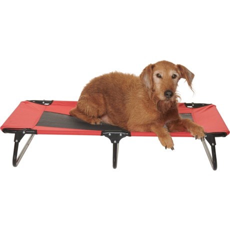 Coleman Fold-and-Go Pet Cot - 42x24x8? - RED ( )
