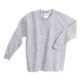 Gildan Cotton T-Shirt - Long Sleeve (For Youth)