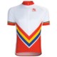 Giordana Retro Stripe Cycling Jersey - Short Sleeve (For Men)