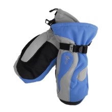 Gordini Fall Line II Mittens - Waterproof, Insulated (For Women) in Ocean/Clay Grey - Closeouts