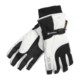 Grandoe Titan Gore-Tex® Gloves - Waterproof, Insulated (For Women)