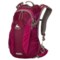 Gregory Navarino 12 Backpack (For Women) in Pomegranate Pink