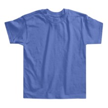 Hanes Authentic Open End T-Shirt - Cotton, Short Sleeve (For Youth) in Blue Grey - 2nds