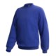 Hanes Pill-Resistant Fleece Sweatshirt - Cotton-Rich 9 oz (For Men and Women)