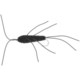 Heavy Weighted Rubber Legs Nymph Fly - Dozen