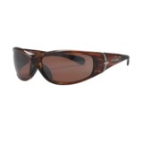 HiDefSpex Dino Sunglasses - Polarized