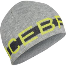 Icebreaker 320 Beanie Hat - Merino Wool (For Men and Women) in Metro - Closeouts