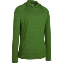 Icebreaker Bodyfit 260 Adventure Hoodie Sweatshirt - UPF 50+, Merino Wool (For Kids) in Grass - Closeouts