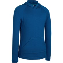 Icebreaker Bodyfit 260 Adventure Hoodie Sweatshirt - UPF 50+, Merino Wool (For Kids) in Isle - Closeouts