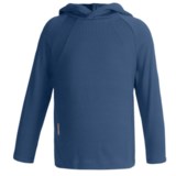 Icebreaker Bodyfit 260 Explorer Hoodie Sweatshirt - Merino Wool, Lightweight, UPF 39+ (For Kids)