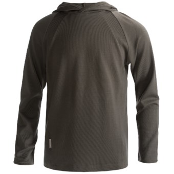 Icebreaker Bodyfit 260 Explorer Hoodie Sweatshirt - Merino Wool, Lightweight, UPF 39+ (For Kids) in Flax