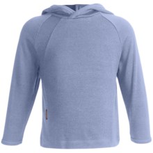 Icebreaker Bodyfit 260 Explorer Hoodie Sweatshirt - Merino Wool, Lightweight, UPF 39+ (For Kids) in Petrel - Closeouts