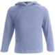 Icebreaker Bodyfit 260 Explorer Hoodie Sweatshirt - Merino Wool, Lightweight, UPF 39+ (For Kids)