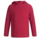 Icebreaker Bodyfit 260 Explorer Hoodie Sweatshirt - Merino Wool, Lightweight, UPF 39+ (For Kids)