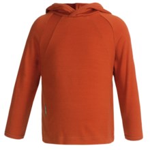 Icebreaker Bodyfit 260 Explorer Hoodie Sweatshirt - Merino Wool, Lightweight, UPF 39+ (For Kids) in Seville - Closeouts