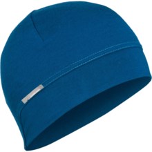 Icebreaker Camper Beanie Hat - Merino Wool (For Kids and Youth) in Isle - Closeouts