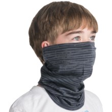 Icebreaker Flexi Chute Neck Gaiter - Merino Wool (For Men and Women) in Splash/Pewter - Closeouts