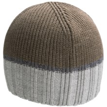 Icebreaker Frost Beanie Hat - Merino Wool (For Men and Women) in Timber/Twister - Closeouts