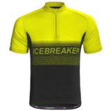 Icebreaker GT Bike Team Cycling Jersey - Merino Wool, Zip Neck, Short Sleeve (For Men)