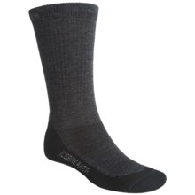 Icebreaker Hike Lite Socks- Merino Wool, 2-Pack, Crew (For Men) in Jet/Nickel - 2nds