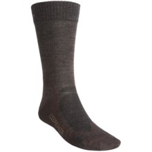Icebreaker Hike+ Lite Crew Socks - Merino Wool (For Men) in F28 Earthen/Bark/Oak - 2nds