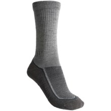 Icebreaker Hike+ Medium Cushion Crew Socks - Merino Wool (For Women) in 289 Silver/Oil/Brazil - 2nds