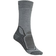 Icebreaker Hike+ Socks - Merino Wool, Midweight, Crew (For Women) in Light Grey/Grey Heather - 2nds
