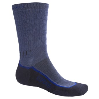 Icebreaker Hiking Socks - Merino Wool, Medium Cushion (For Men and Women) in Atlantic/Royal