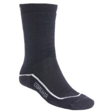 Icebreaker Hiking Socks - Merino Wool, Medium Cushion (For Men and Women) in Ink/Silver/Ink - 2nds