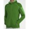 Icebreaker Real Fleece Sierra Hooded Jacket - Merino Wool (For Men) in Grass/Turf