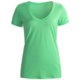 Icebreaker SF150 Tech Shirt - Merino Wool, V-Neck, Short Sleeve (For Women)