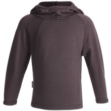 Icebreaker Sport 320 Rascal Hooded Shirt - Merino Wool, Long Sleeve (For Kids) in Brazil - Closeouts