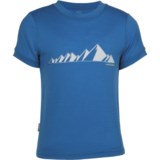 Icebreaker Tech T Lite Ridge T-Shirt - UPF 39+, Merino Wool, Short Sleeve (For Kids)