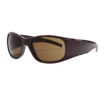 Julbo Boavista Sunglasses in Chocoblack/Cat 3 - Closeouts
