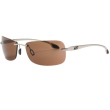 Julbo Freeze Sunglasses - Spectron 3 Lenses in Argent/Cat 3 - Closeouts
