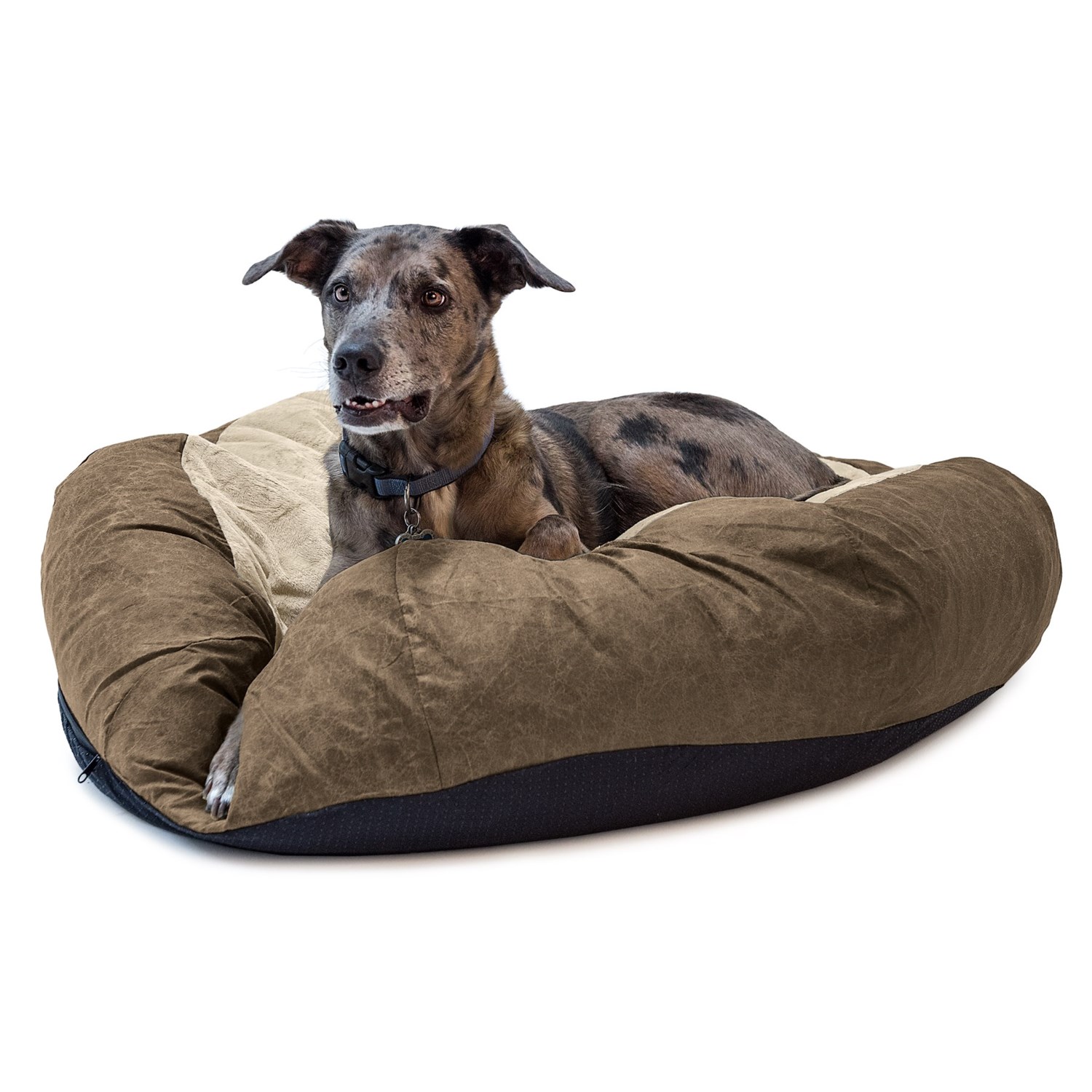 plush ball dog bed