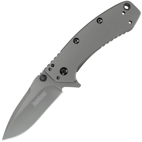 Kershaw Cryo Pocket Knife Assisted Opening, Frame Lock