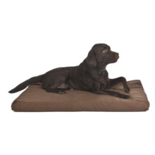 Kimlor Memory-Foam Dog Bed - 29x43” in Brown - Closeouts