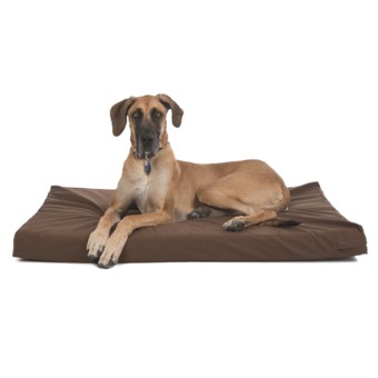 Kimlor Memory-Foam Dog Bed - 35x53” in Brown