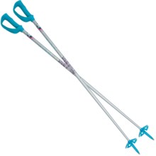 Komperdell Consigliere Silver Alpine Ski Poles in See Photo - Closeouts