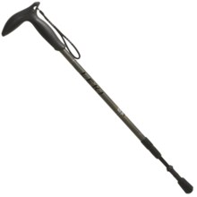 LEKI Wanderfreund AergoMed Trekking Pole - Anti-Shock, Super Lock, Single in See Photo - Closeouts