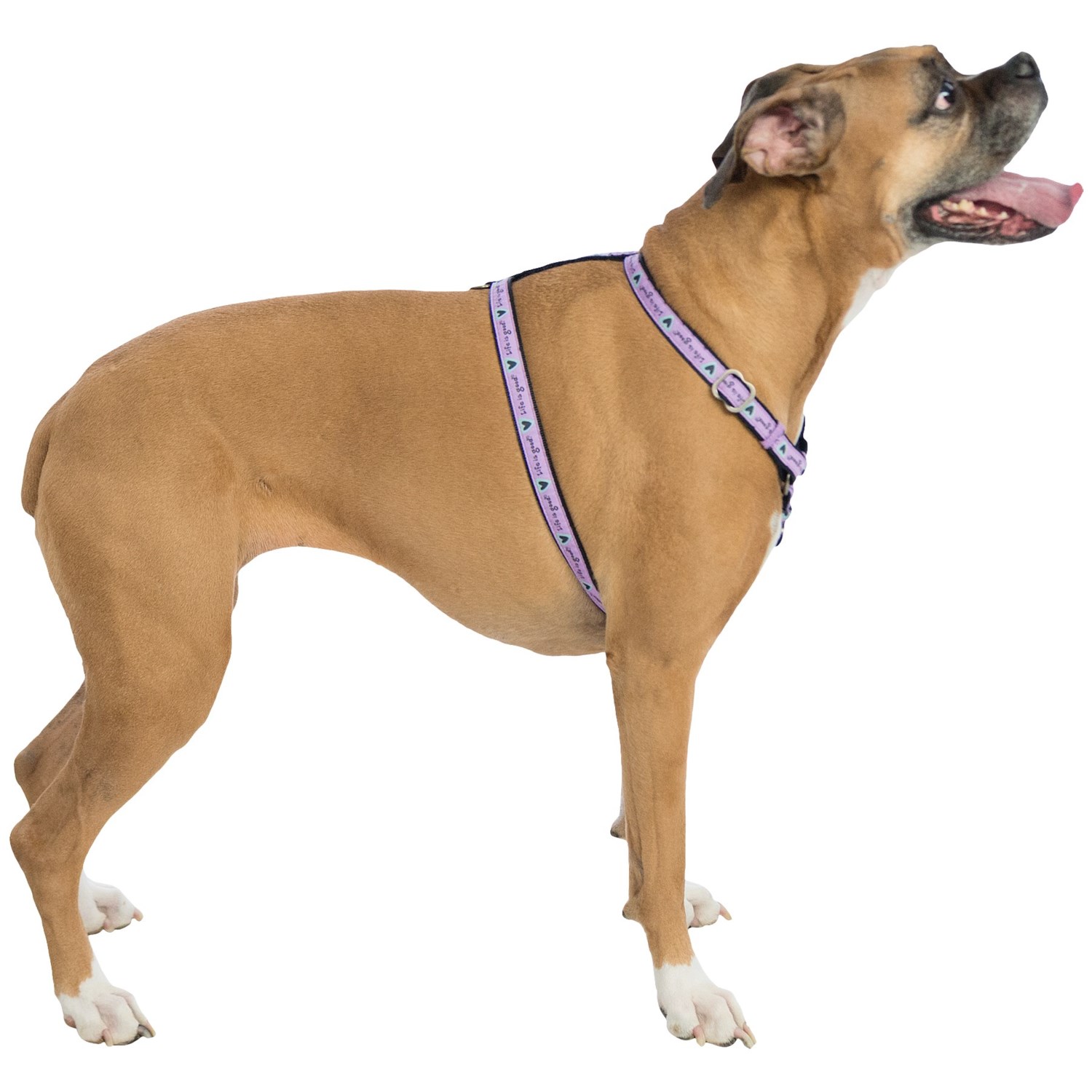 beneficial pets Beneful dog food and dog treats are the perfect balance of wholesome ingredients, nutrition and taste to keep your dog healthy, with a side of happy. beneficial pets Beneful dog food and dog treats are the perfect balance of wholesome ingredients, nutrition and taste to keep your dog healthy, with a side of happy.