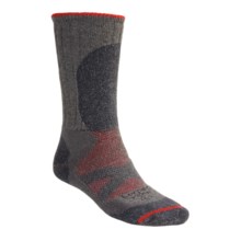 Lorpen Primaloft®-Merino Wool Hiker Socks - Midweight (For Men and Women) in Vapor Grey - 2nds