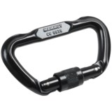 Mammut Lock D Carabiner